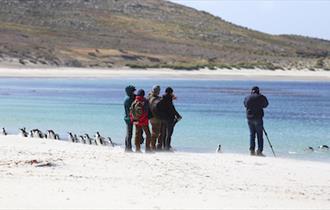Photographing penguins in the Falklands