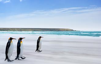 Morning stroll on the beach