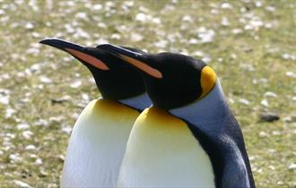 MAAZ Tours and Travel