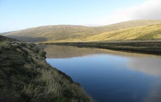 Warrah River, West Falkland, Falkland Islands