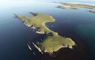 Kidney Island_Sulivan Shipping_Falkland Islands