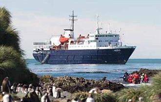 Expedition cruising in the Falklands
