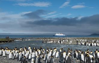 Poseidon Expeditions: Copyright Anthony Smith