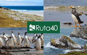 Ruta40_Cover