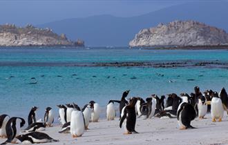 Enjoying the beaches of the Falkland Islands