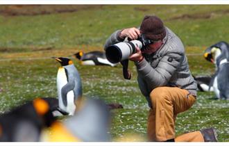 Photographing King Penguins in the Falkland Islands is an unmissable experience.