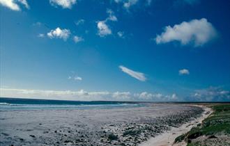A glorious sunny day on Volunteer Beach in the Falkland Islands