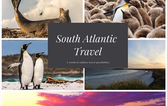 South Atlantic Travel - Falkland Islands