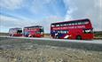 _PolarSeafish_Bus_