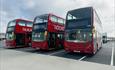_PolarSeafish_Bus_