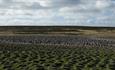 Cobb's Cottage_Bleaker Island_Falkland Islands