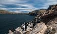 Kelper Tours - Falkland Islands - West Falklands