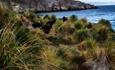 Kelper Tours - Falkland Islands - West Falklands