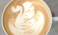 Coffee_swan