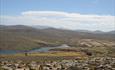 Crooked Inlet_Roy Cove_Falkland Islands