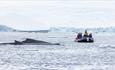 HX_Expeditions_Antarctica_Fournier_Bay_