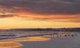 Penguins_Beach_Sunrise