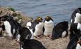 Pebble Island Lodge_Pebble Island _Falkland Islands