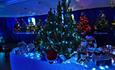 Christmas Tree Festival - Falkland Islands