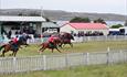 Stanley Race Meeting - Falkland Islands