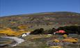 Carcass Island house_West Falklands_Falkland Islands