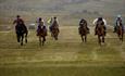 Stanley Race Meeting - Falkland Islands
