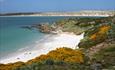 Falklands' beach