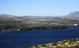 Scurvy Grass Snug_Port Sussex_Falkland Islands