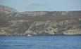 Whale Watching_Sulivan Shipping_Falkland Islands