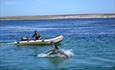 Kidney Island_Sulivan Shipping_Falkland Islands