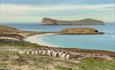 _NewIslands_gentoo_