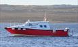 Whale Watching_Sulivan Shipping_Falkland Islands