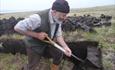 Colin_Peat_Cutting