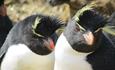 Race Point Farm Cottage_Port San Carlos_Falkland Islands