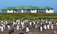 Sea Lion Lodge_Sea Lion Island_Falkland Islands