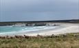 Johnson's Harbour Cottage_East Falklands_Falkland Islands