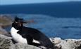 Johnson's Harbour Cottage_East Falklands_Falkland Islands