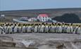 Volunteer Point_East Falklands_Falkland Islands