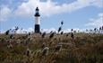 _FranksTours_Lighthouse_