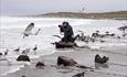 Sea Lion Lodge_Sea Lion Island_Falkland Islands