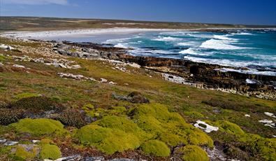 Landscape around Little Creek Farm