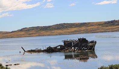 Jhelum Shipwreck 2019 in Stanley, Falkland Islands