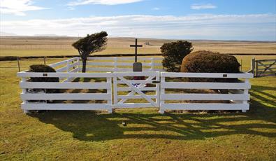 Nick Taylor Memorial