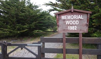 1982 Memorial Wood