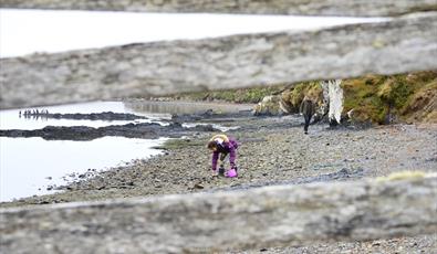 Falkland Islands_fossil hunting