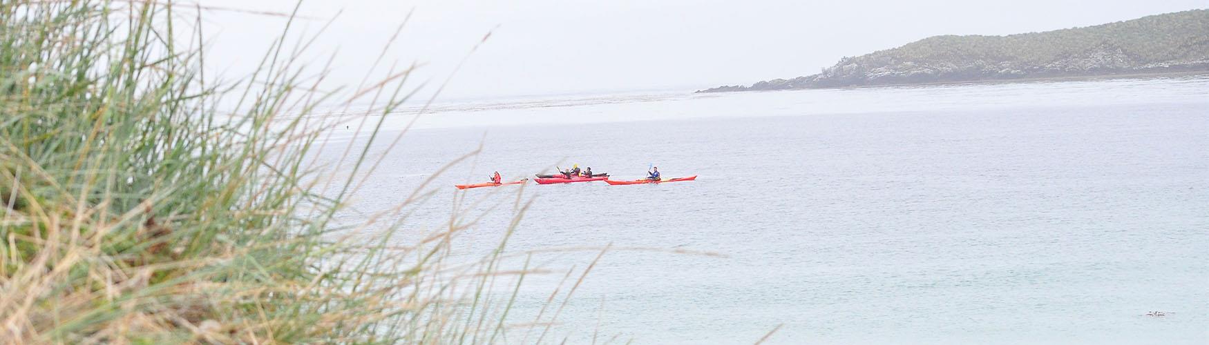 Kayaking in the Falkland Islands is a perfect half day tour to see nature in a different way and experience.