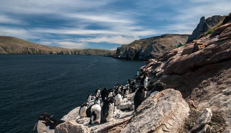 Kelper Tours - Falkland Islands - West Falklands