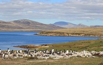 Owl Tours and Crafts_Tour Guide_Falkland Islands