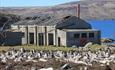 Owl Tours and Crafts_Tour Guide_Falkland Islands