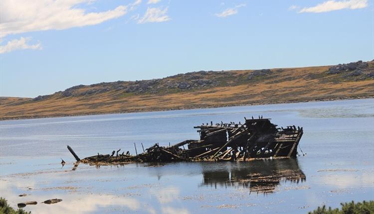 Jhelum Shipwreck 2019 in Stanley, Falkland Islands
